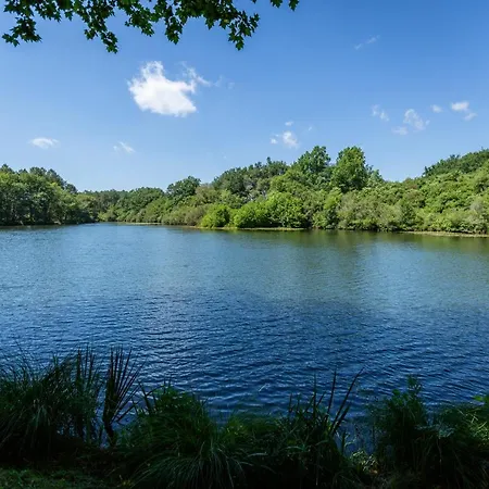 L'etang D'ardy *** *