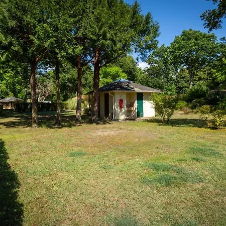 L'etang D'ardy *** Saint-Paul-lès-Dax
