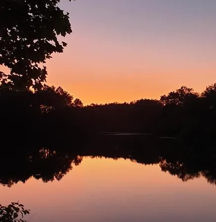 L'etang D'ardy *** Camping