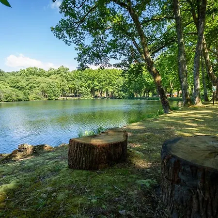 Kemp L'etang D'ardy *** *