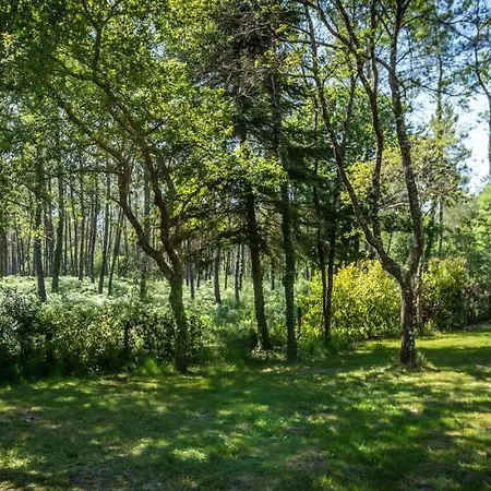 L'etang D'ardy *** Camping Saint-Paul-lès-Dax