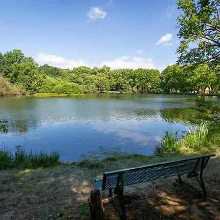 Campsite L'etang D'ardy *** Saint-Paul-les-Dax