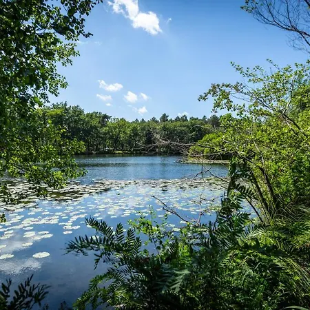 L'etang D'ardy *** Camping *