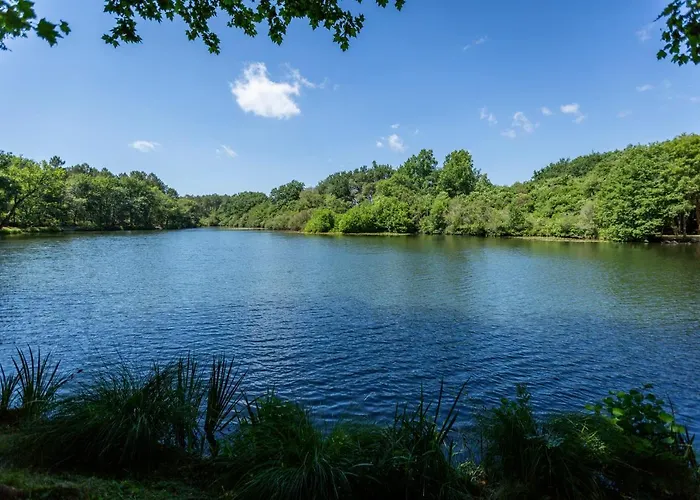 L'etang D'ardy *** *