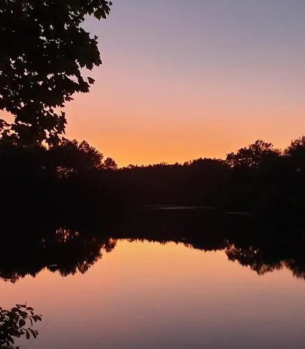 L'etang D'ardy *** Kamp alanı