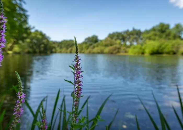 Кемпинг L'etang D'ardy *** *