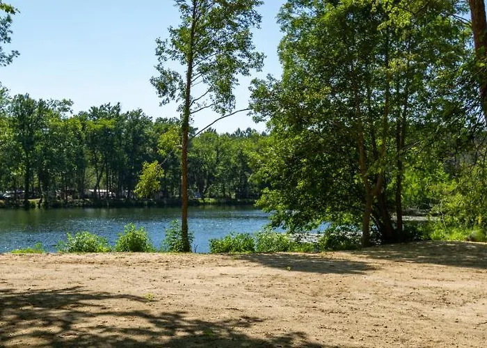 L'etang D'ardy *** Kamp alanı