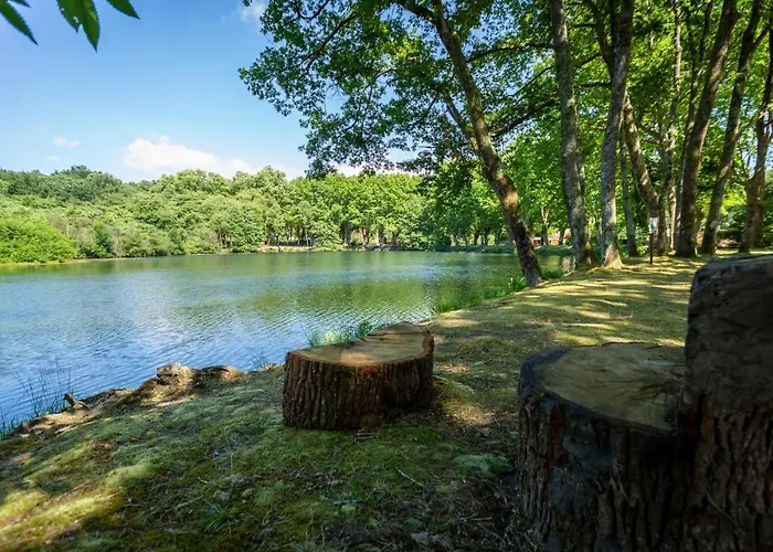 Kamp alanı L'etang D'ardy *** *