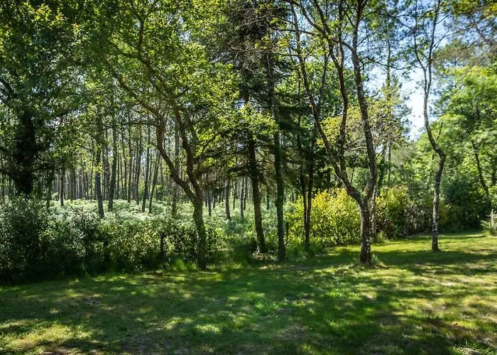 L'etang D'ardy *** Kamp alanı Saint-Paul-lès-Dax