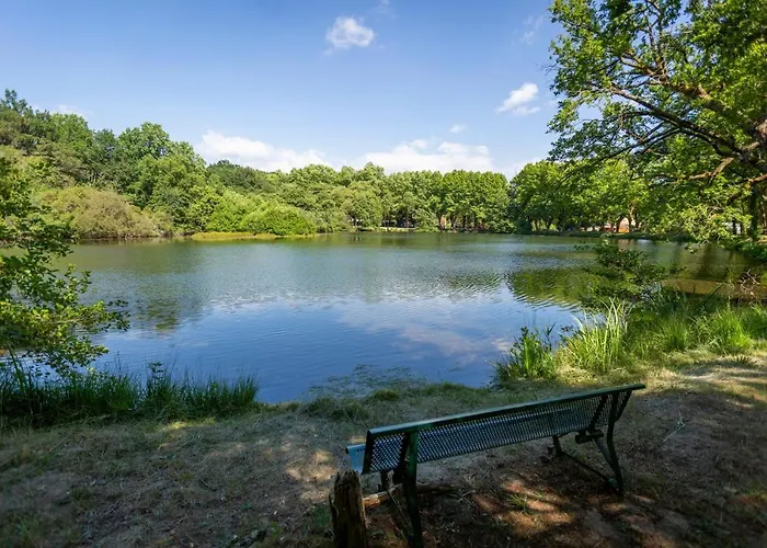 Кемпинг L'etang D'ardy *** Сент-Пол-ле-Дакс