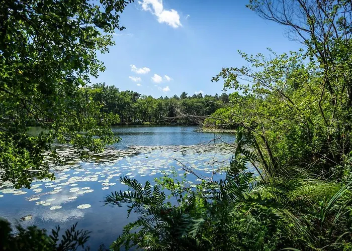 L'etang D'ardy *** Kamp alanı *
